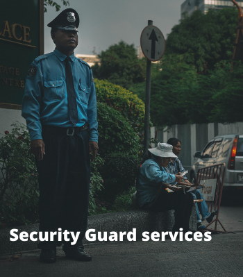 service-portfolio-image